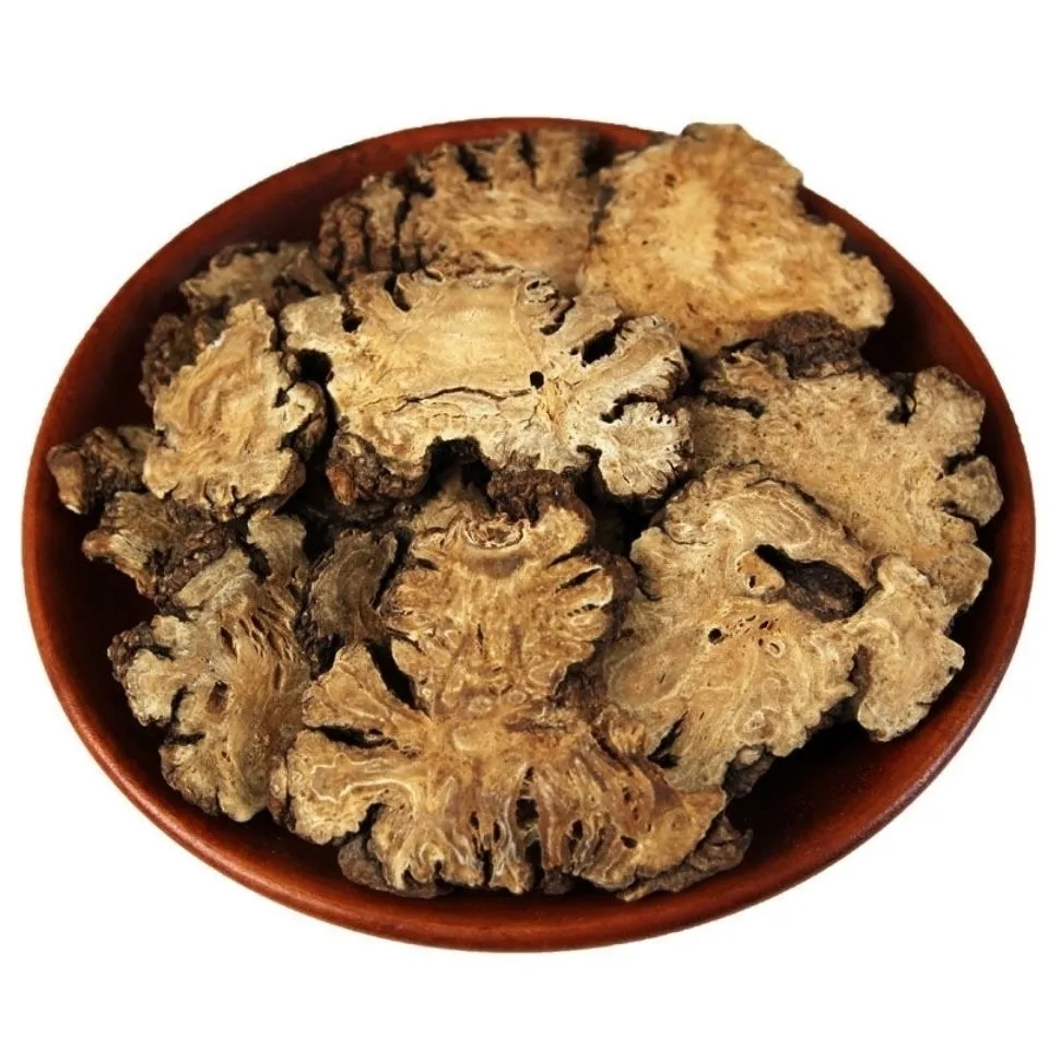 New Arrival 100% Natural Rhizoma Promoting Blood Herbs Chuanxiong