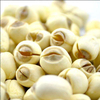 Chinese Lotus Nut Health Product Delicious White Lotus Seed for Dessert