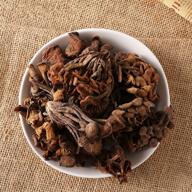 High Quality Premium Qing Gang Jun Dried Tricholomas Matsutake Mushroom