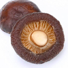 Factory Price Dried Shiitake Mushrooms Improve Immunity Dried Mushrooms