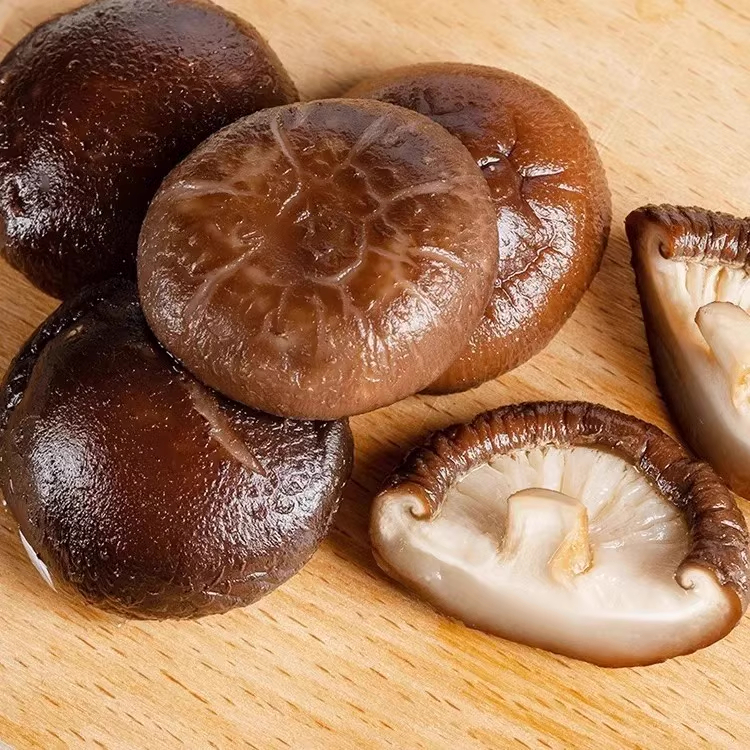 Good Quality Natural Healthy Food Dried Shiitake Mushroom Organic Mushrooms